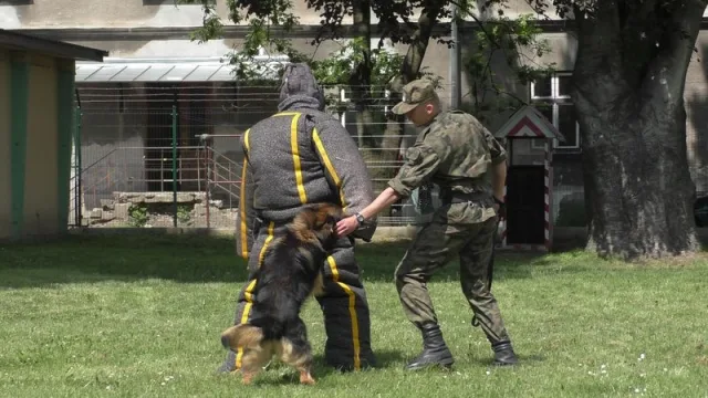 Zdjęcia z pikniku dla dzieci z okazji święta SG