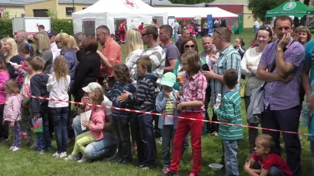 Zdjęcia z pikniku dla dzieci z okazji święta SG