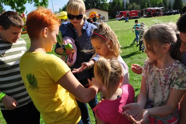 Zdjęcia z pikniku dla dzieci z okazji święta SG