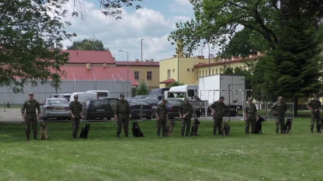Zdjęcia z pikniku dla dzieci z okazji święta SG