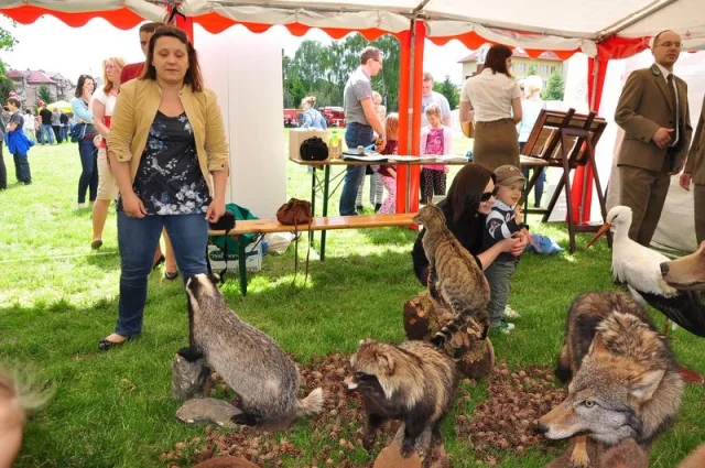 Zdjęcia z pikniku dla dzieci z okazji święta SG