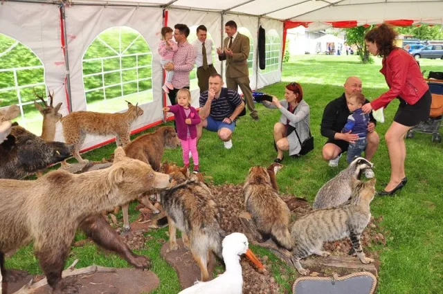 Zdjęcia z pikniku dla dzieci z okazji święta SG