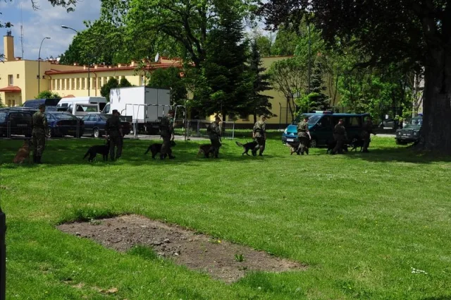 Zdjęcia z pikniku dla dzieci z okazji święta SG