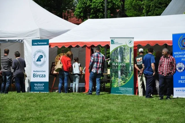 Zdjęcia z pikniku dla dzieci z okazji święta SG