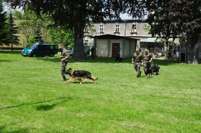 Zdjęcia z pikniku dla dzieci z okazji święta SG