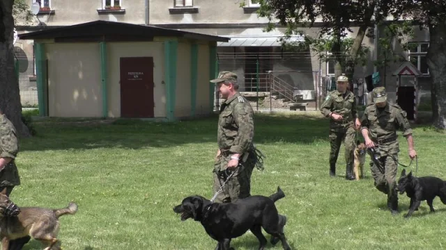 Zdjęcia z pikniku dla dzieci z okazji święta SG