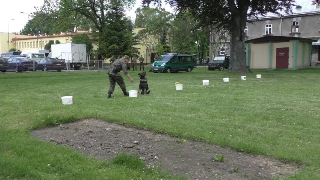 Zdjęcia z pikniku dla dzieci z okazji święta SG